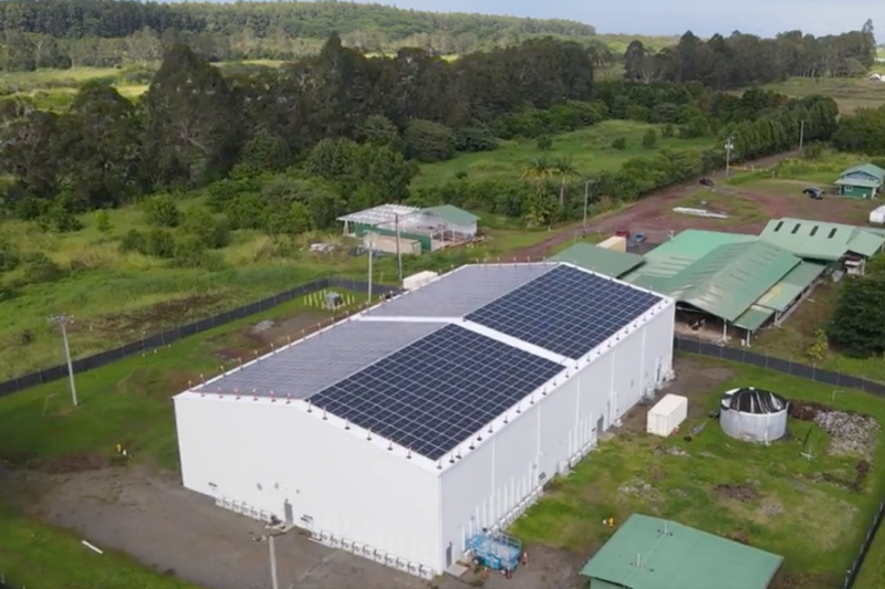 Big Island Grown SunSpear Energy Hawaii's Leader In Solar