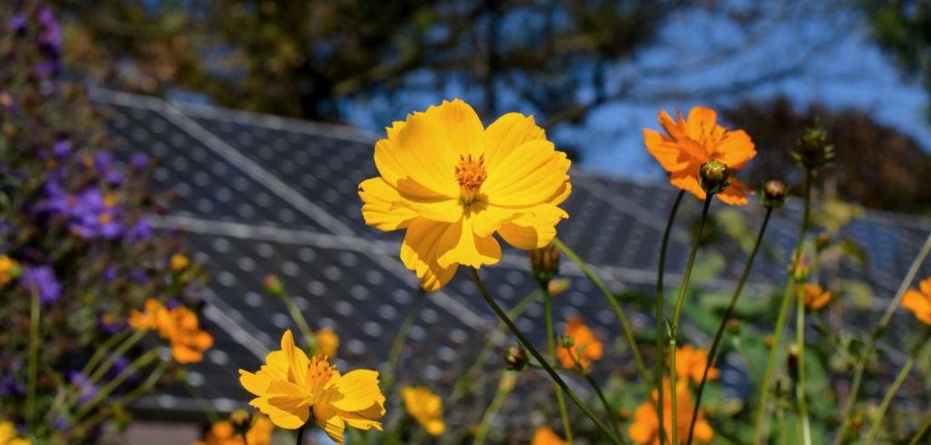 Recycling Solar